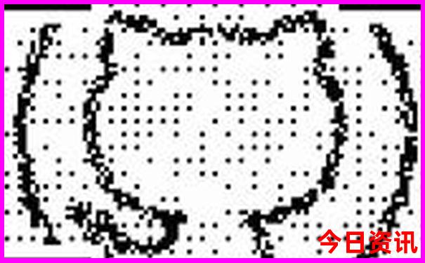 暑假适合去哪儿玩